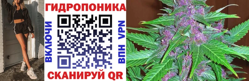 Шишки марихуана LSD WEED  цены наркотик  Пестово 